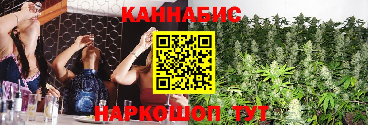 Каннабис AK-47 Вышний Волочёк